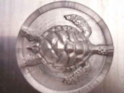 turtle2c.jpg (10883 bytes)